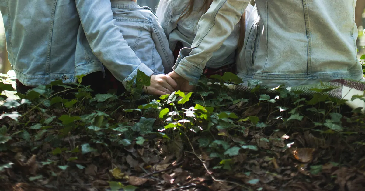 A family of four sitting together and looking into a woodland