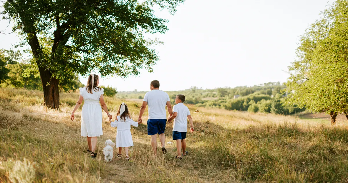A family walking away along a track through a sunlit meadow, seen from behind
