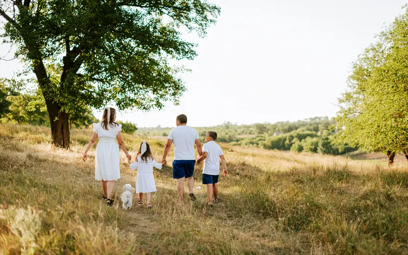 A family walking away along a track through a sunlit meadow
